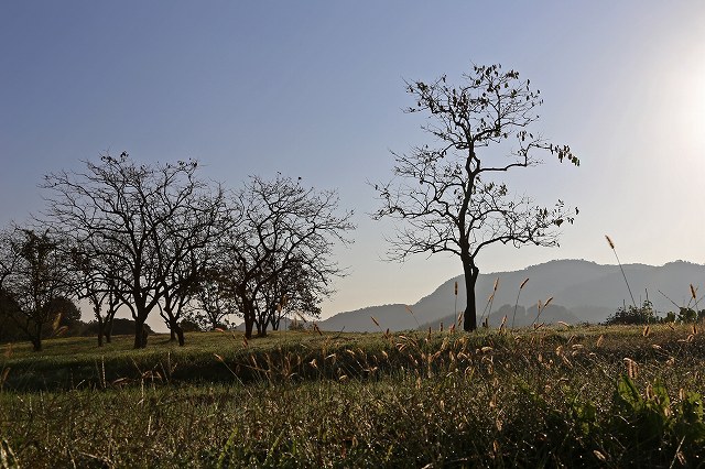 a0242438_20501187.jpg