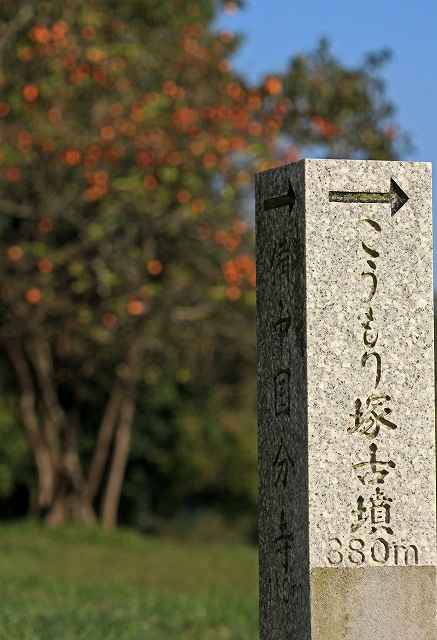 a0242438_20511678.jpg