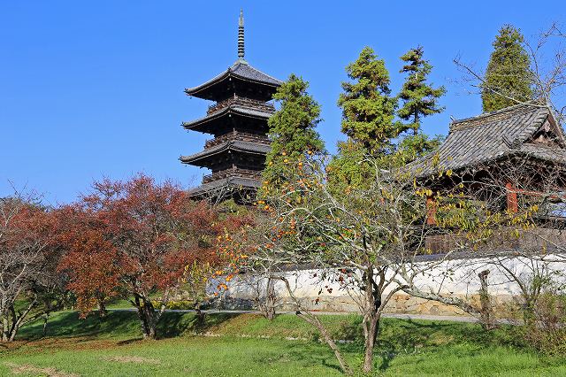 a0242438_20512789.jpg
