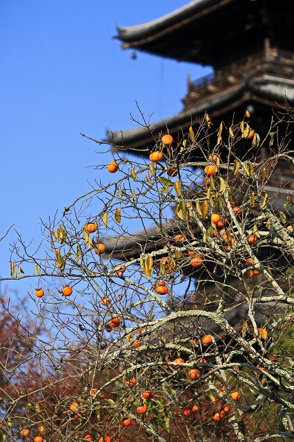 a0242438_20513247.jpg