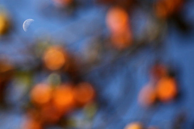 a0242438_2051616.jpg
