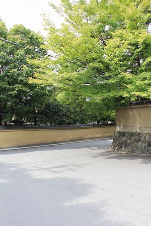 c0148238_9244616.jpg