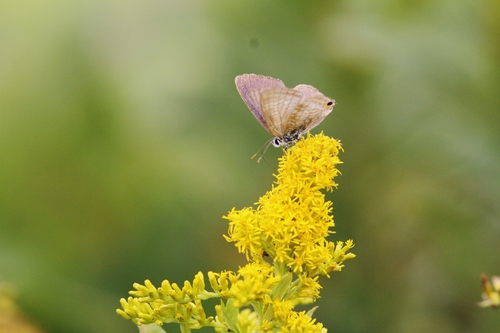 c0172139_014120.jpg