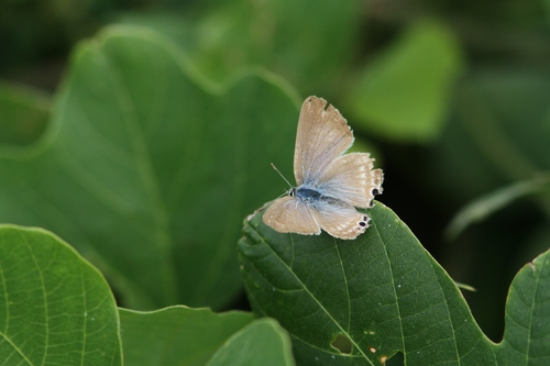 c0172139_2334169.jpg