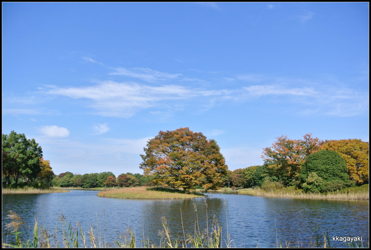 e0206242_7252277.jpg