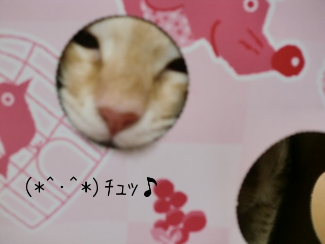 c0259945_1602661.jpg
