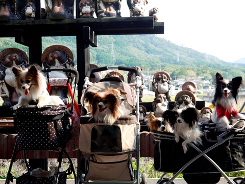 e0100046_201385.jpg