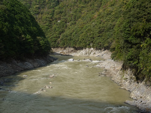 e0100046_2082463.jpg