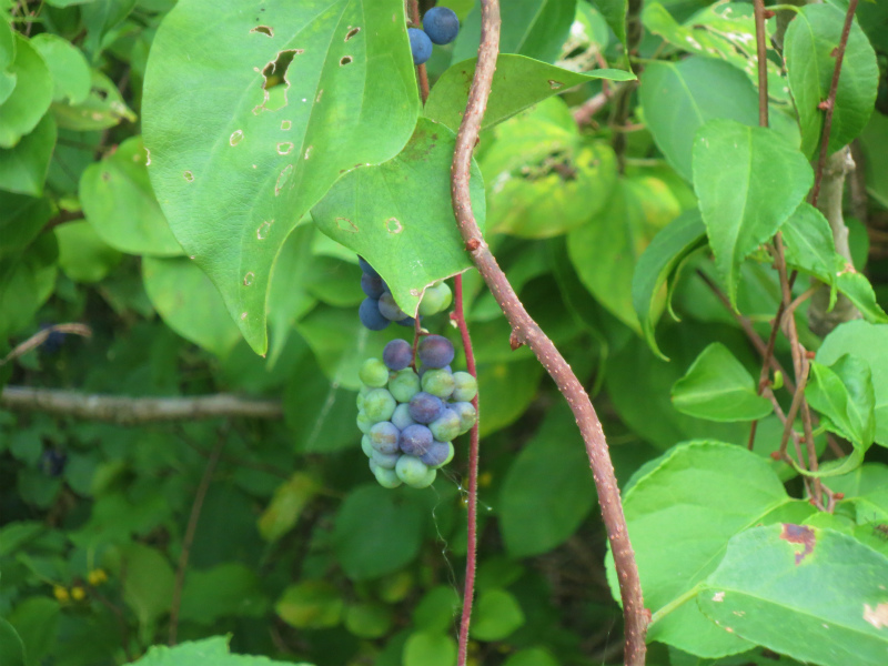 b0097747_864990.jpg