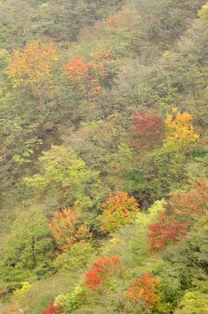 b0122448_8454827.jpg