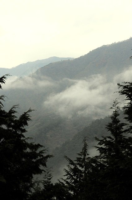 b0122448_8472820.jpg