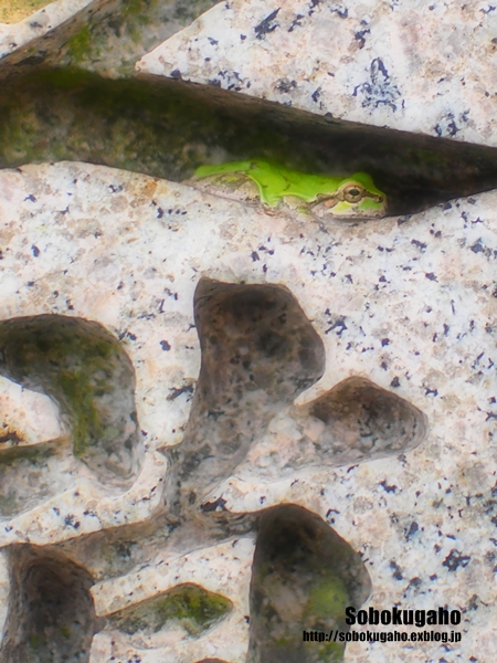 f0252848_193985.jpg