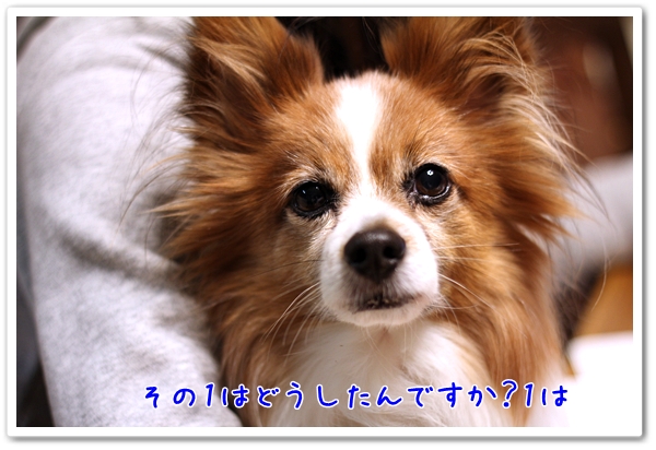 d0013149_22175155.jpg
