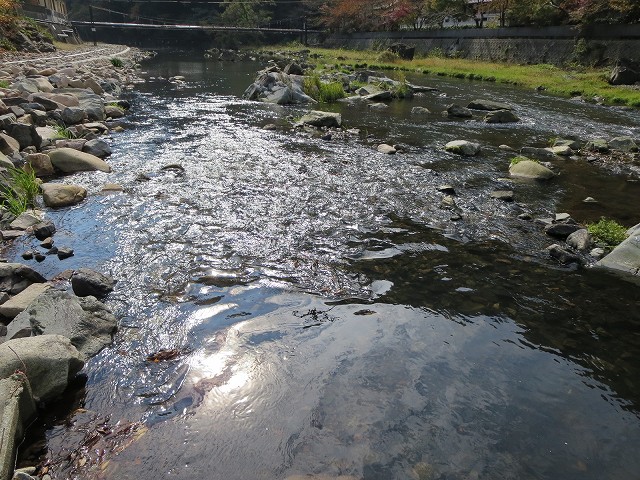 d0031853_621126.jpg
