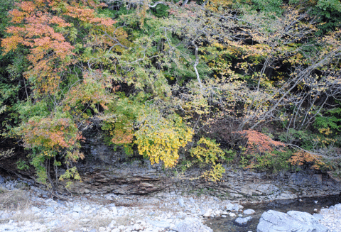 a0001354_2312057.gif