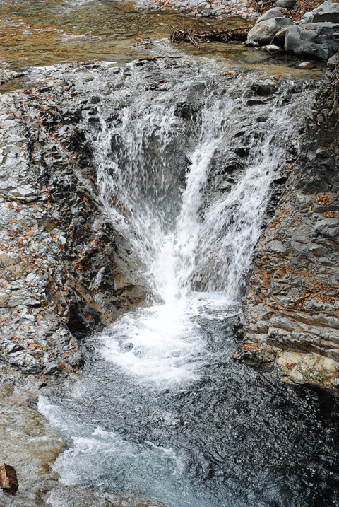 a0001354_2335136.gif