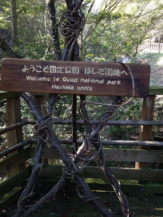 f0233356_12202450.jpg