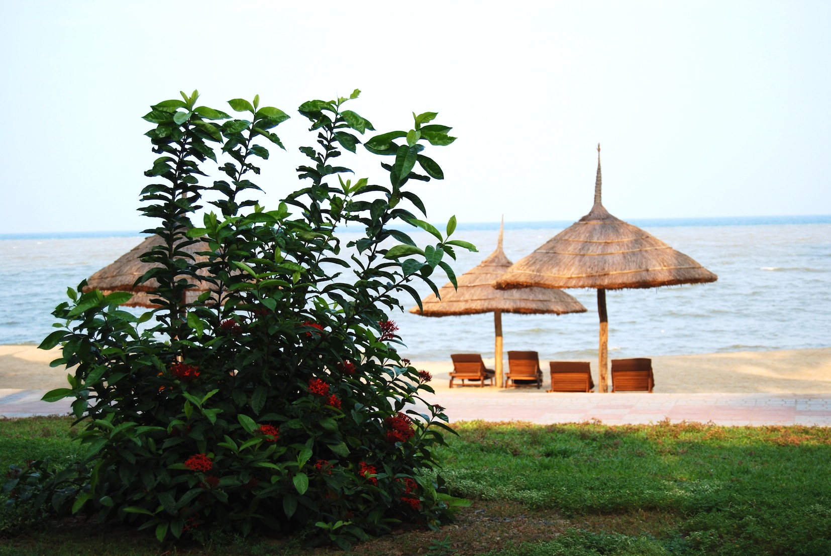 c0175657_438917.jpg