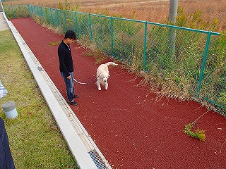 a0104162_21584027.jpg