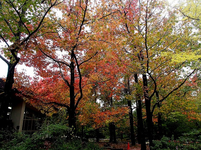 b0044663_23512975.jpg