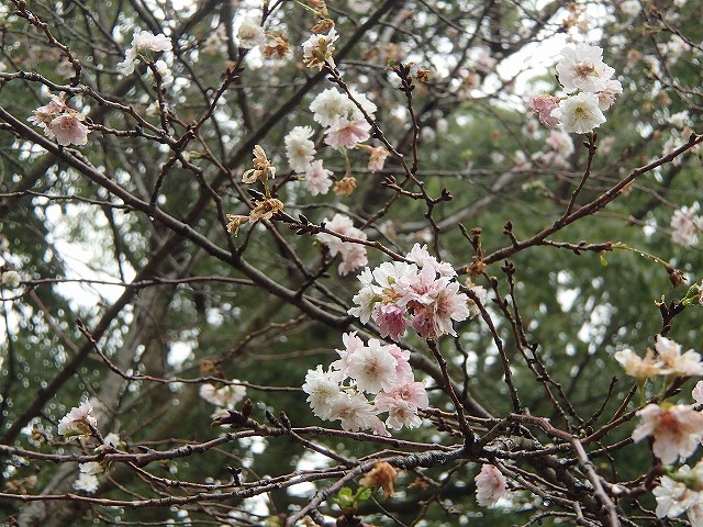b0044663_23552695.jpg