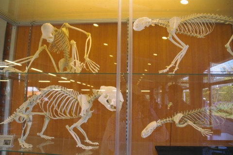 e0045768_21165192.jpg