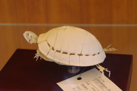 e0045768_21171158.jpg