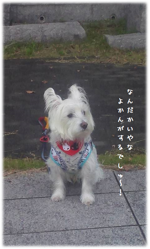b0242873_035729.png