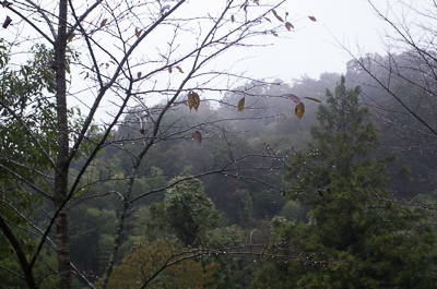 a0053783_20394372.jpg