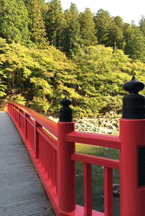 e0237283_2005347.gif