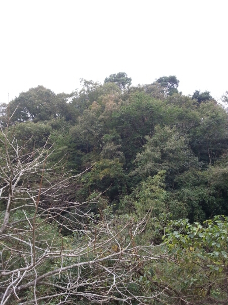 f0183484_1395926.jpg