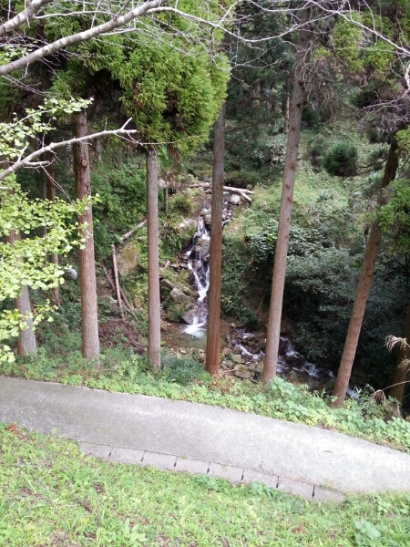 f0183484_1401814.jpg