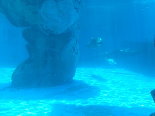 c0046587_21404321.jpg