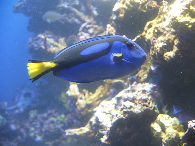 c0046587_21421915.jpg