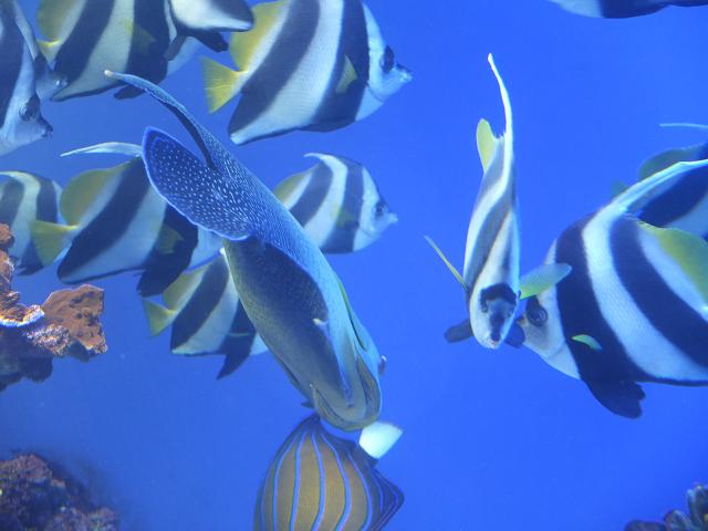 c0046587_21422399.jpg