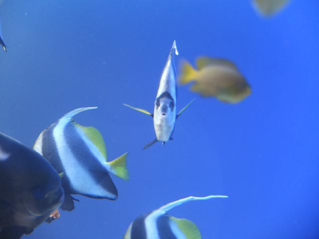 c0046587_21422811.jpg