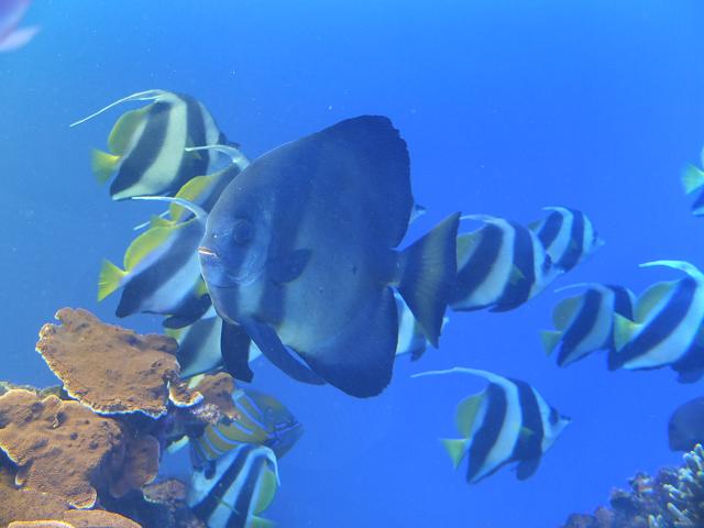 c0046587_21424040.jpg