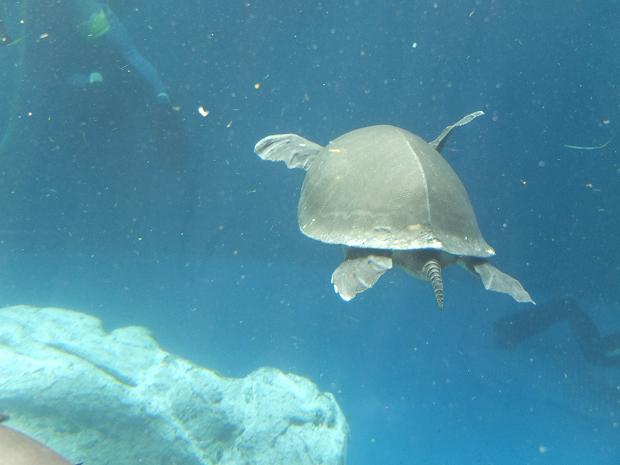 c0046587_21431751.jpg