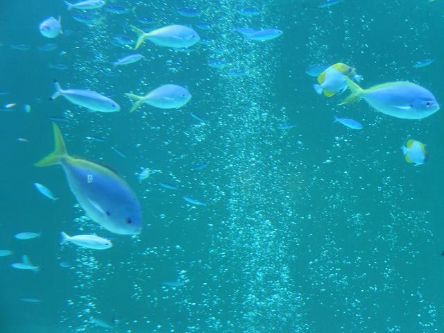 c0046587_21435845.jpg
