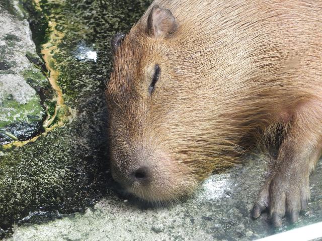 c0046587_2143613.jpg