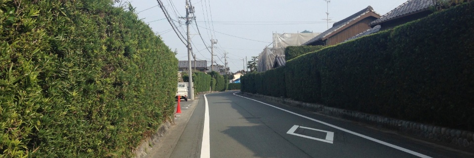 c0170789_12315046.jpg