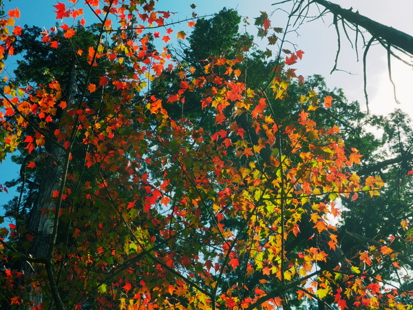 c0190391_1758090.jpg