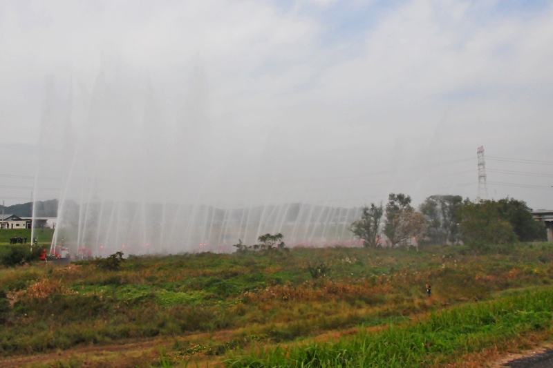 f0168596_19201010.jpg