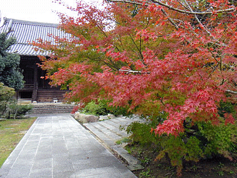 b0108100_16315786.gif