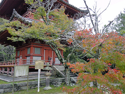 b0108100_1632692.gif