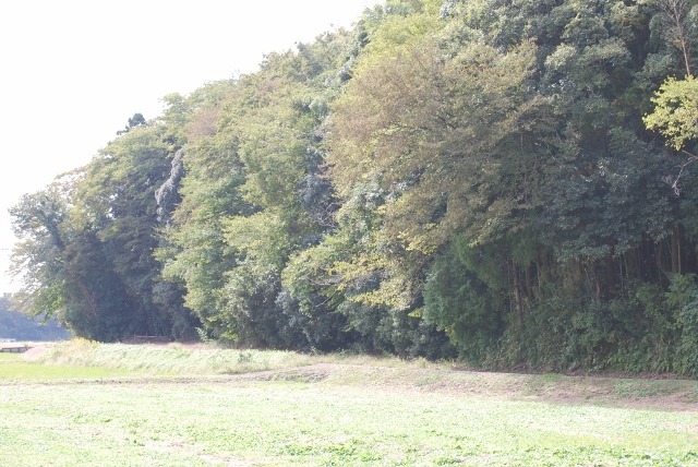 e0025300_12225075.jpg