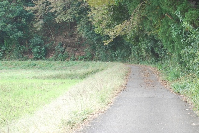 e0025300_1227882.jpg