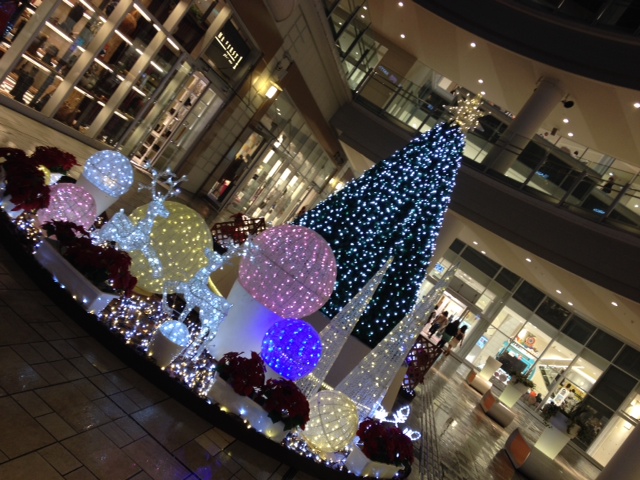 a0050302_0555839.jpg