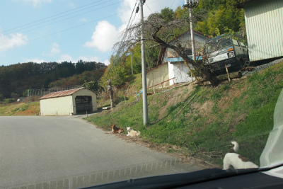 a0318802_139963.jpg