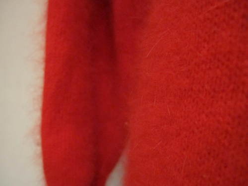 a0206703_19565677.jpg